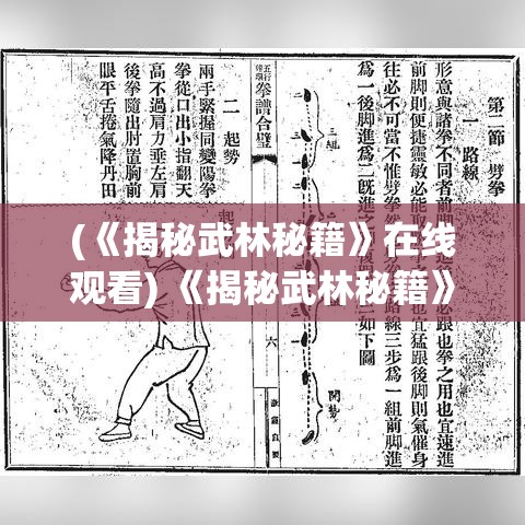 (《揭秘武林秘籍》在线观看) 《揭秘武林秘籍》：解锁古代武术之谜，透视经典技艺传承之旅